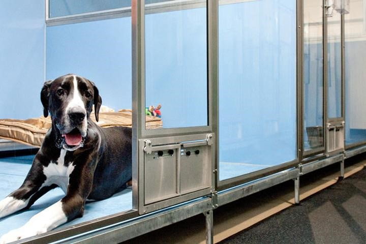 BỆNH VIỆN THÚ Y ANIPET