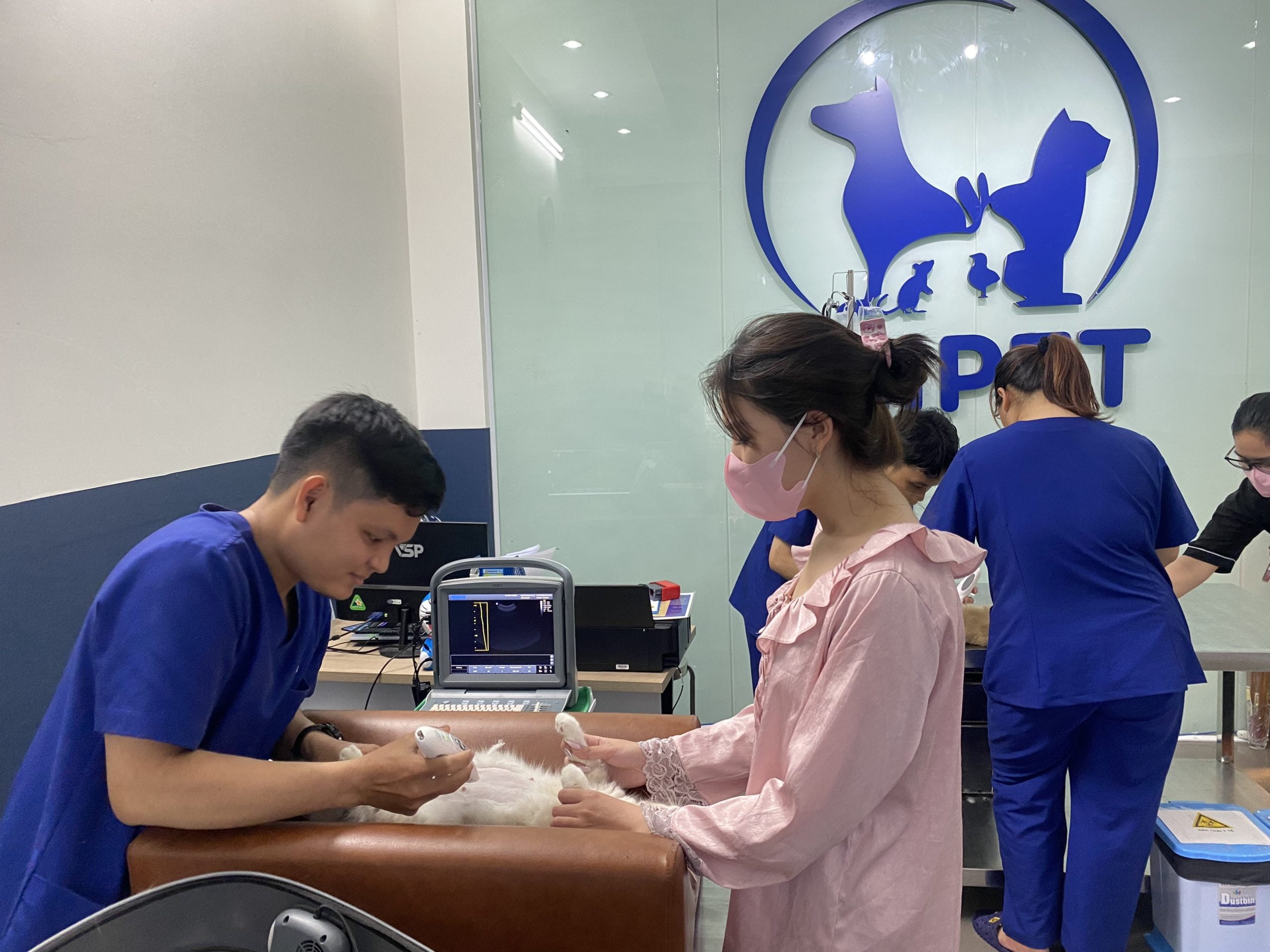 0d8fbf42949e47c01e8f