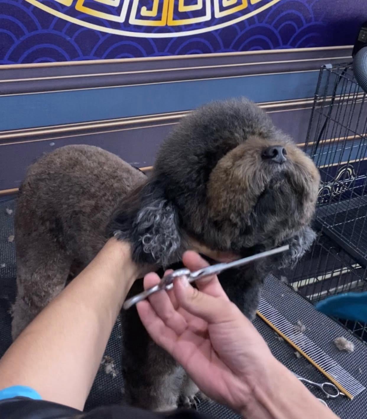 2ec752916b4db813e15c