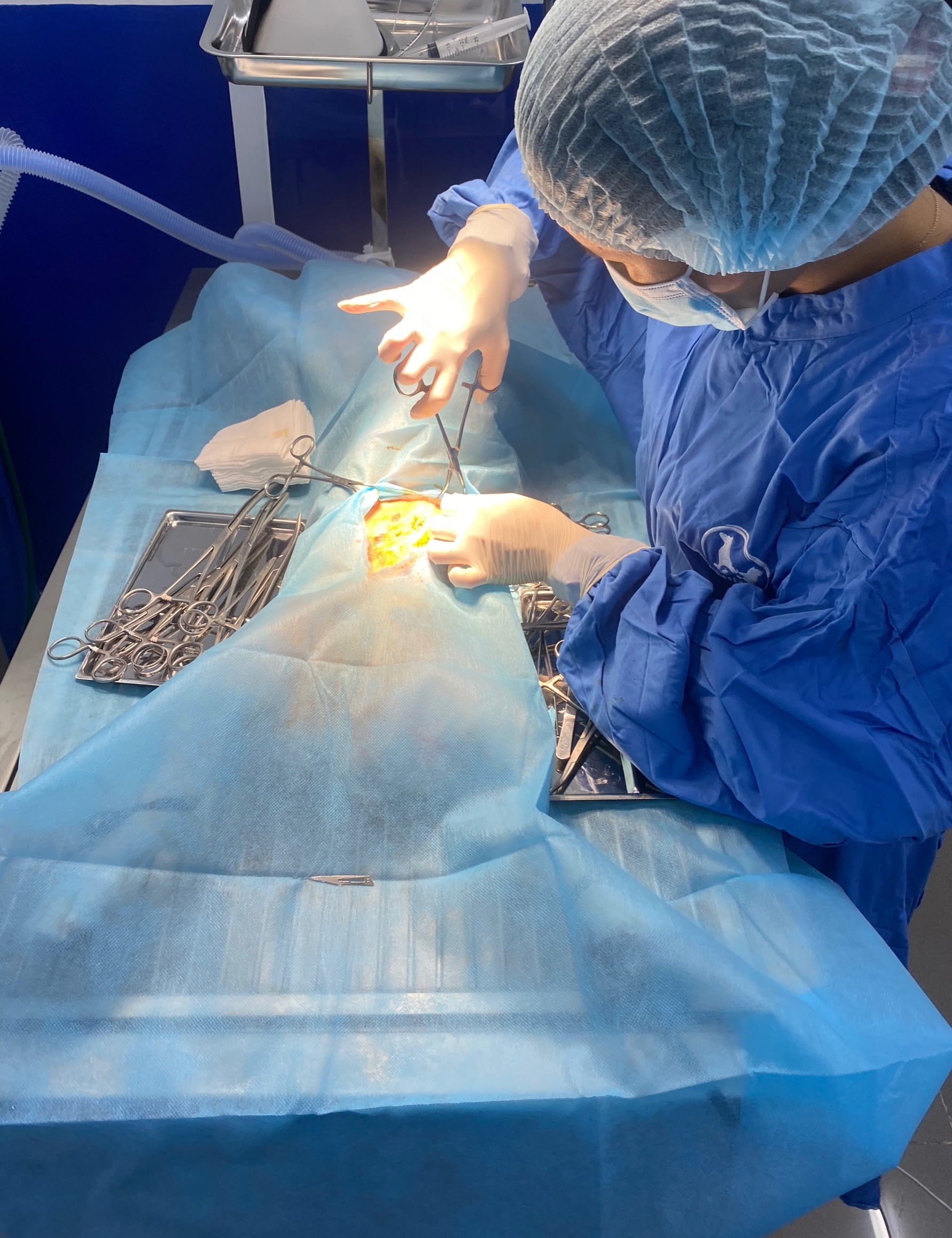 A8415d806d5cbe02e74d