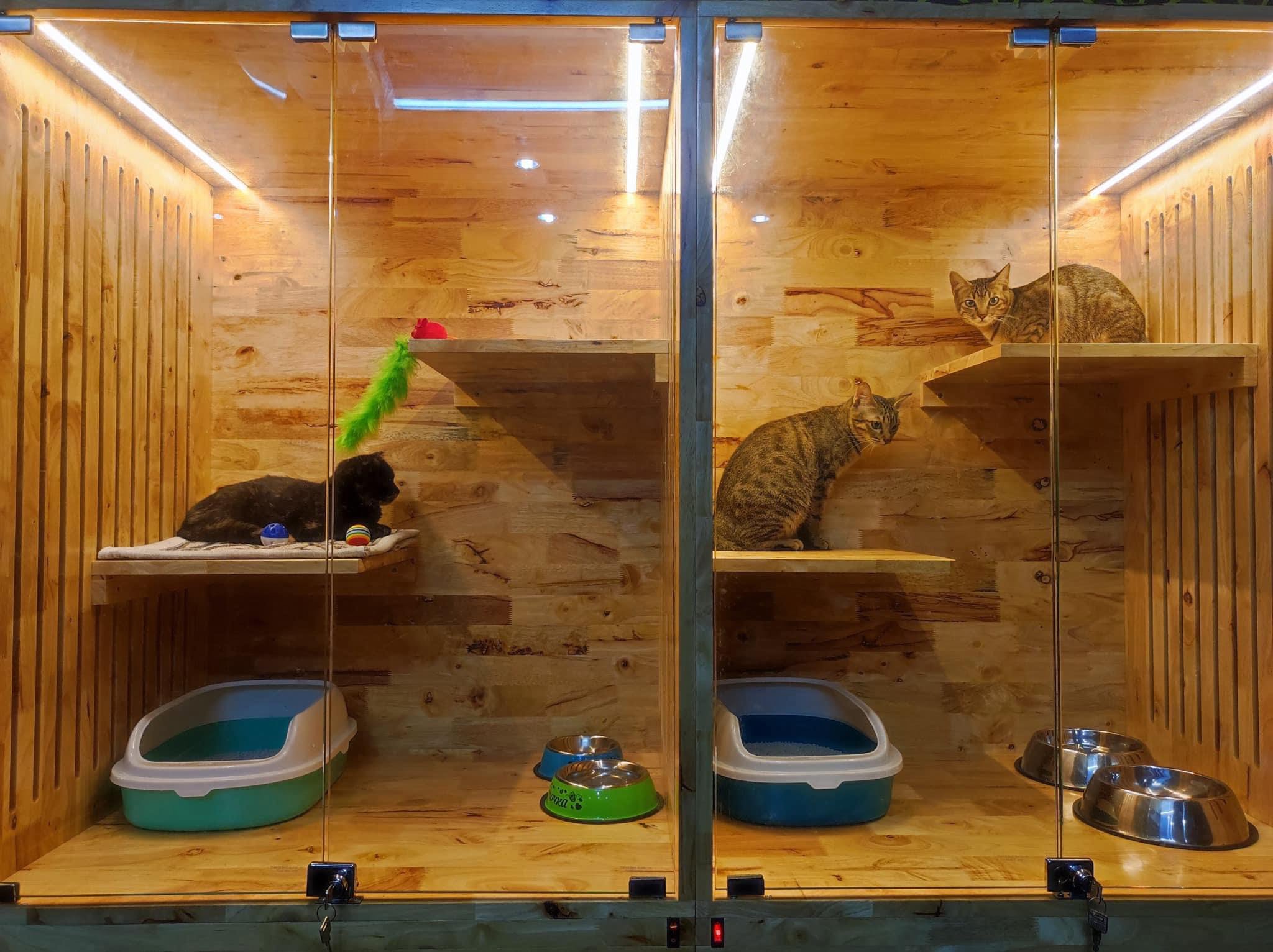 Ba26b8a59c794f271668