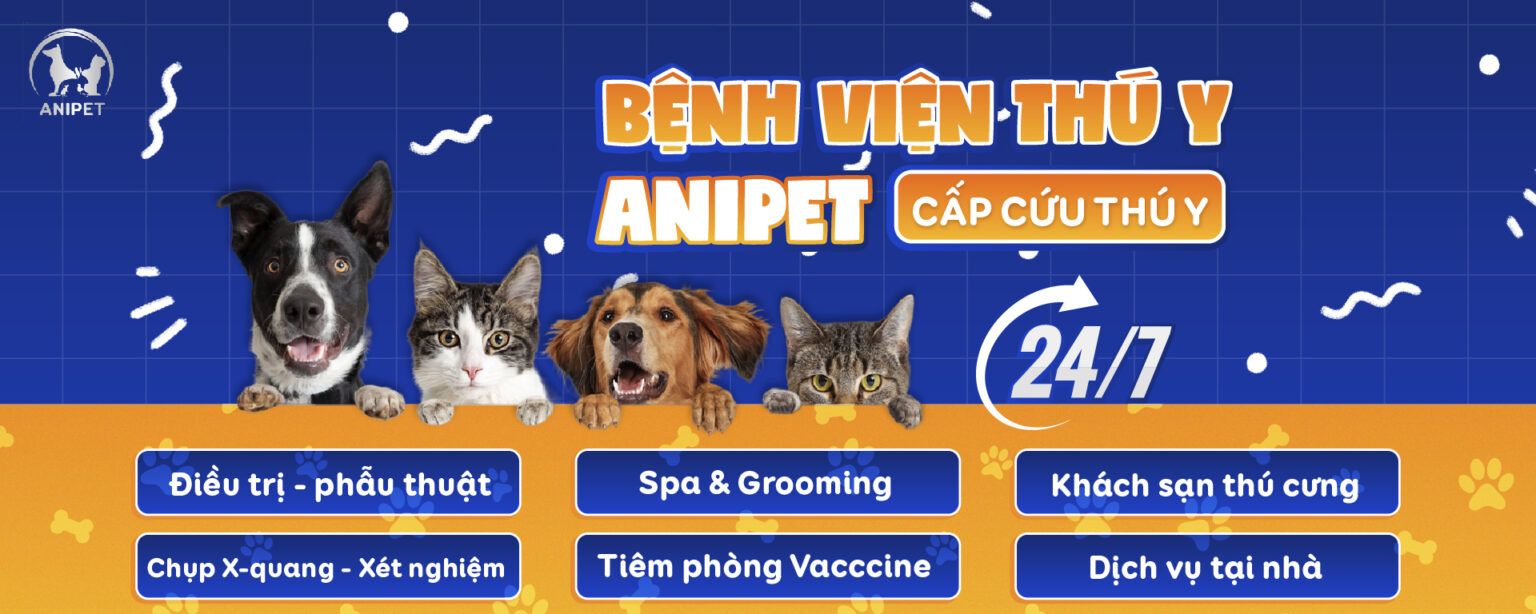 31.8 Anipet 1920x768