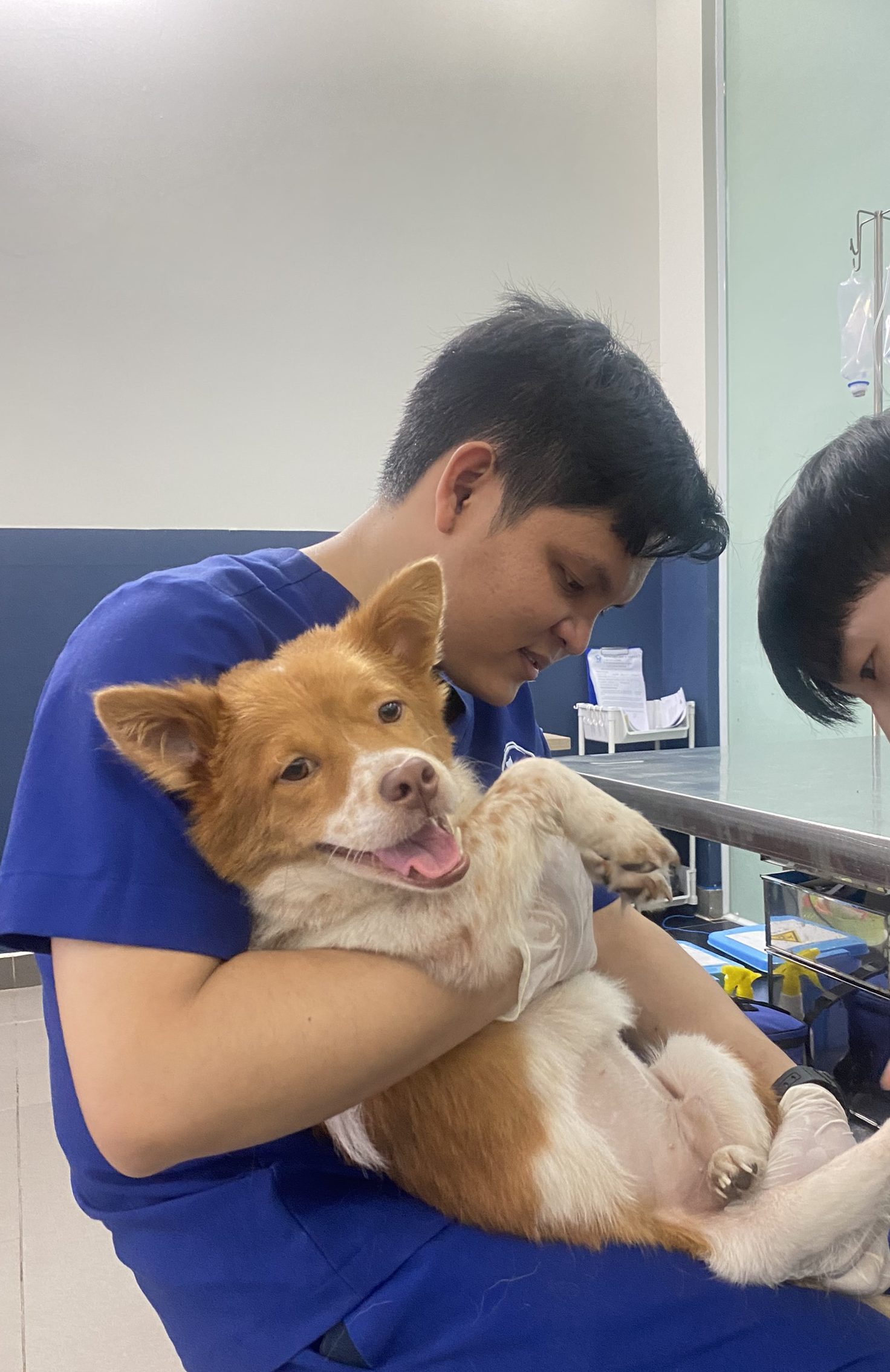 0f4354b0b52862763b39