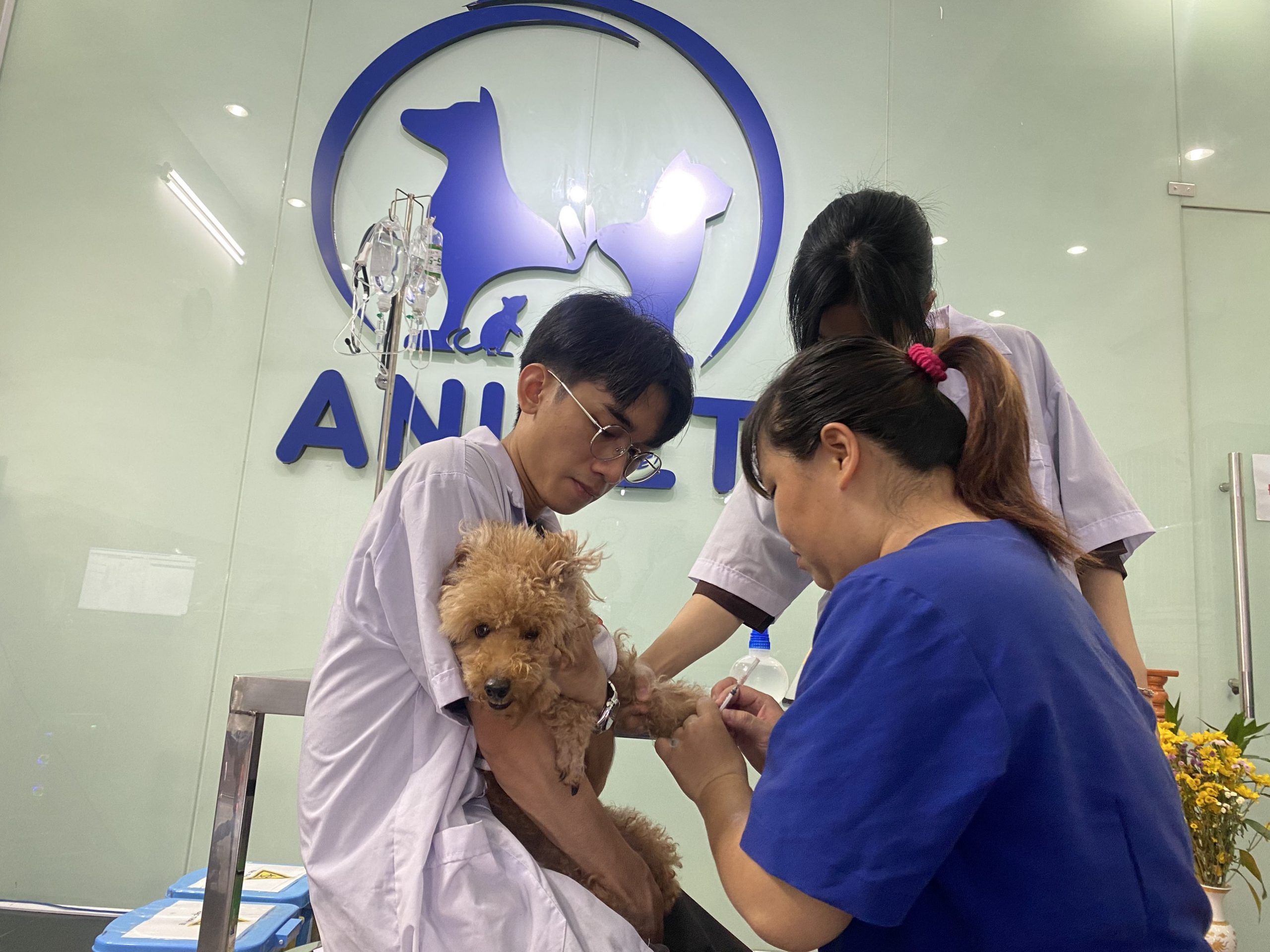 17b9aefb1463c33d9a72