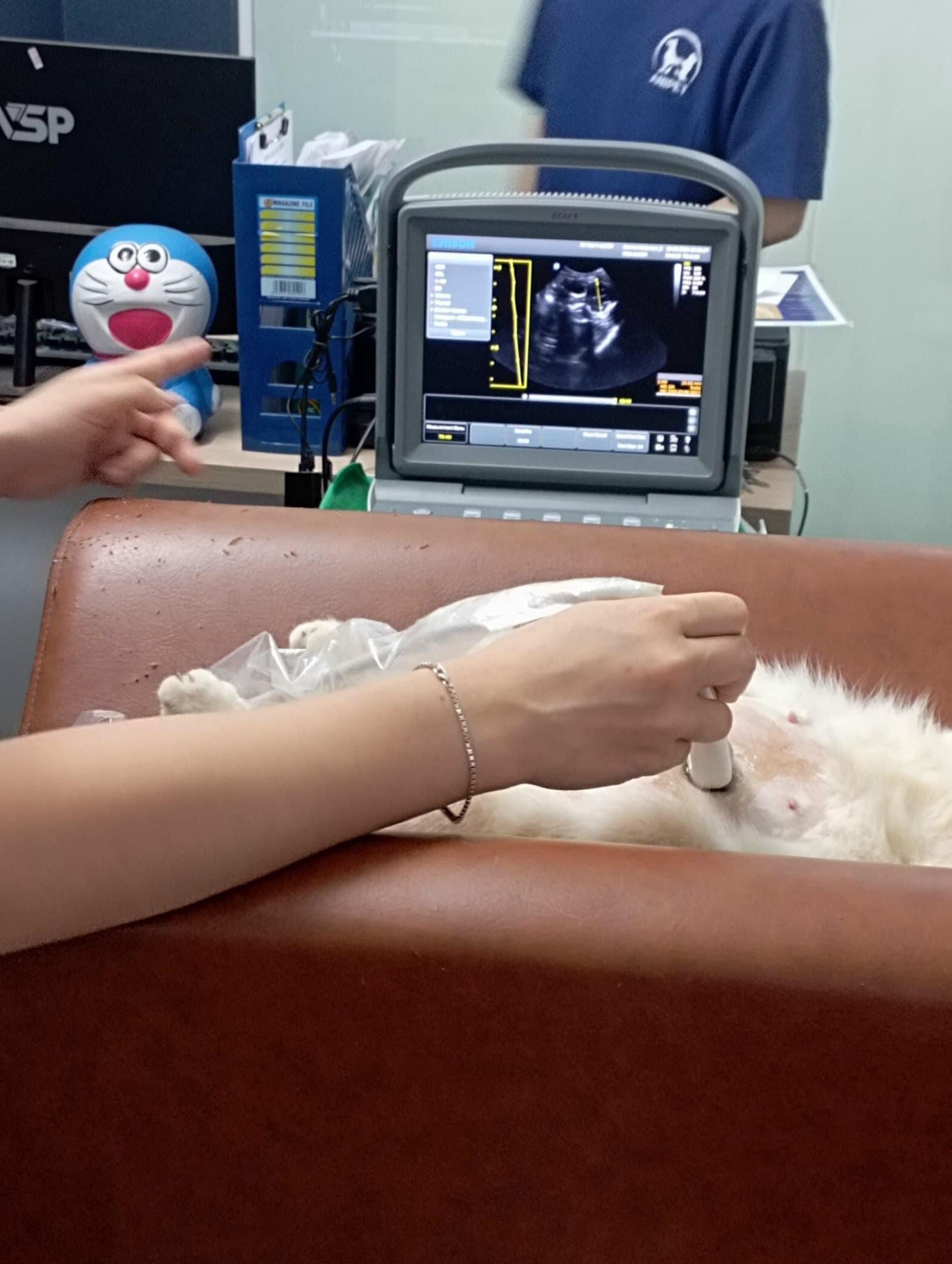 34cdd8e5087ddf23866c