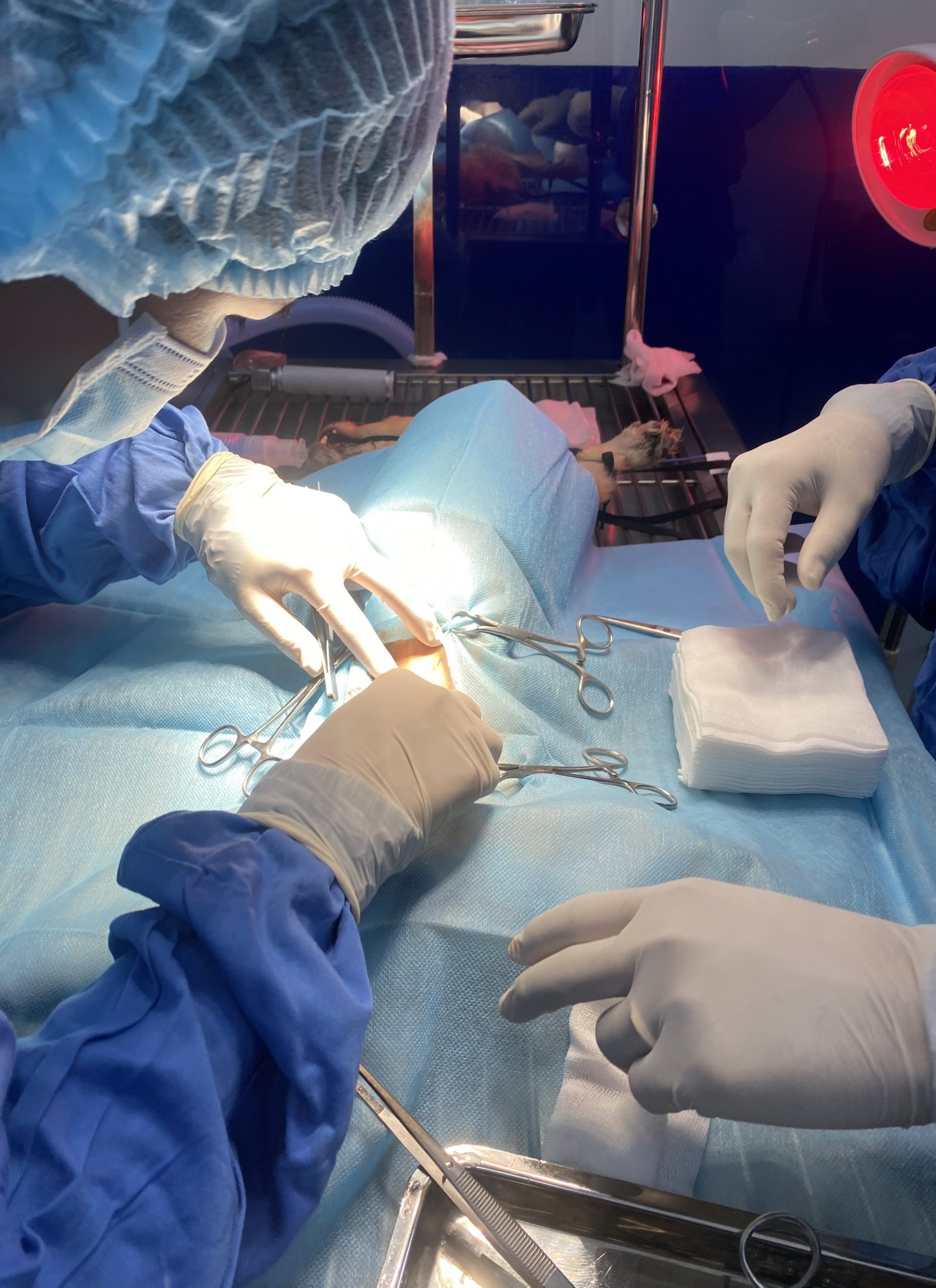 B247b6080190d6ce8f81