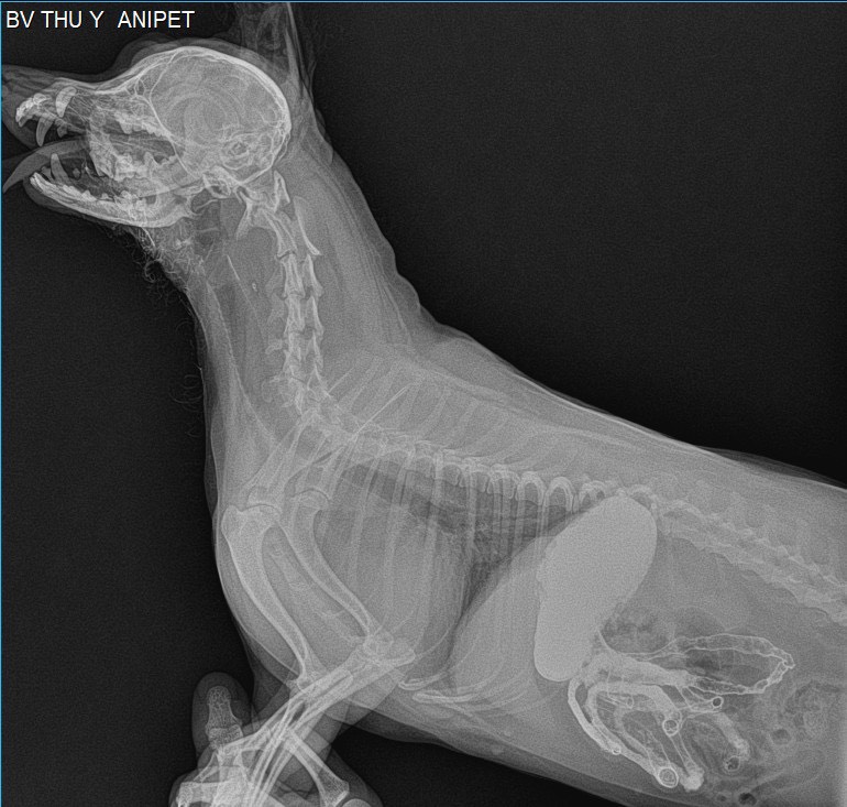 C78c1397d60f0151581e