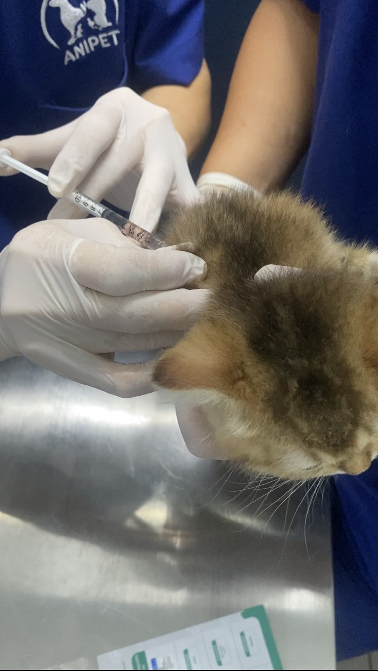 E03ee7341aaccdf294bd