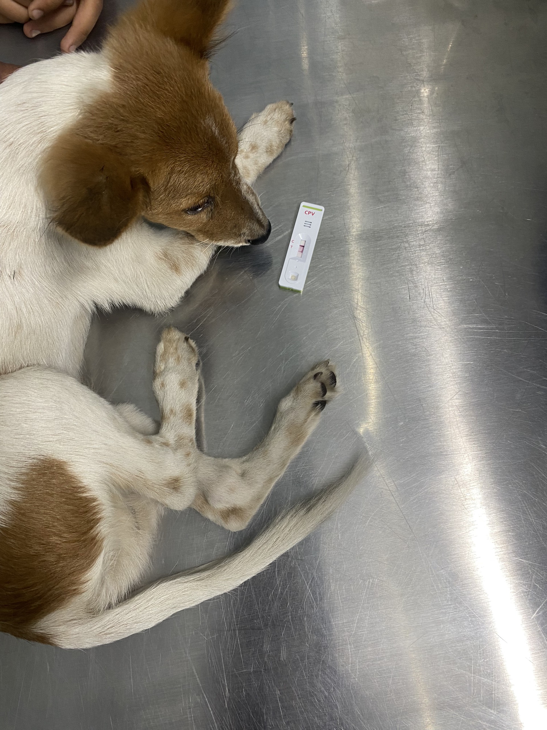 F7e6d6626dfabaa4e3eb