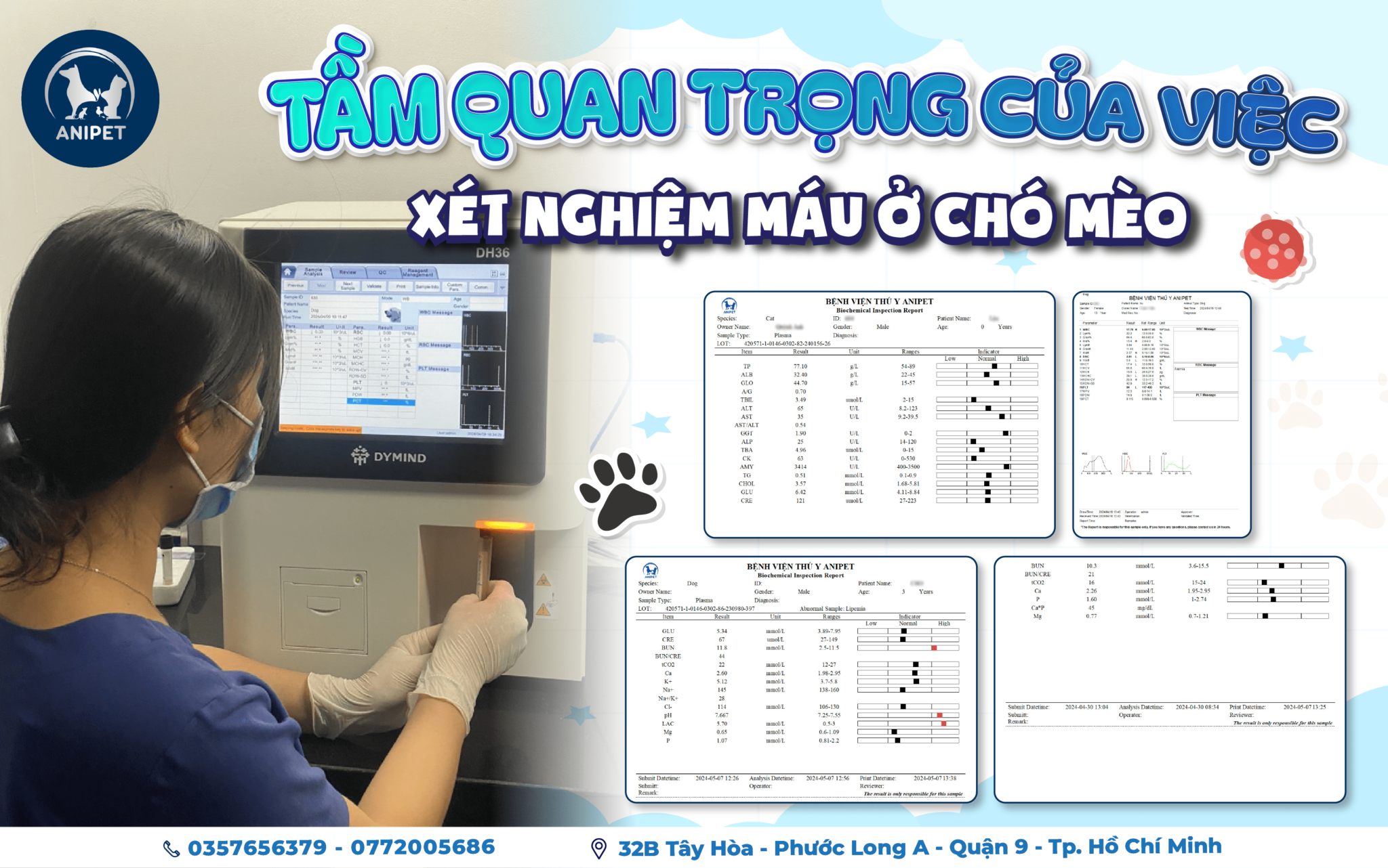 TẦM QUAN TRỌNG CỦA VIỆC XÉT NGHIỆM MÁU Ở CHÓ MÈO - ANIPET