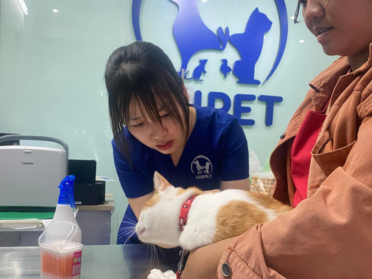 BỆNH VIỆN THÚ Y ANIPET