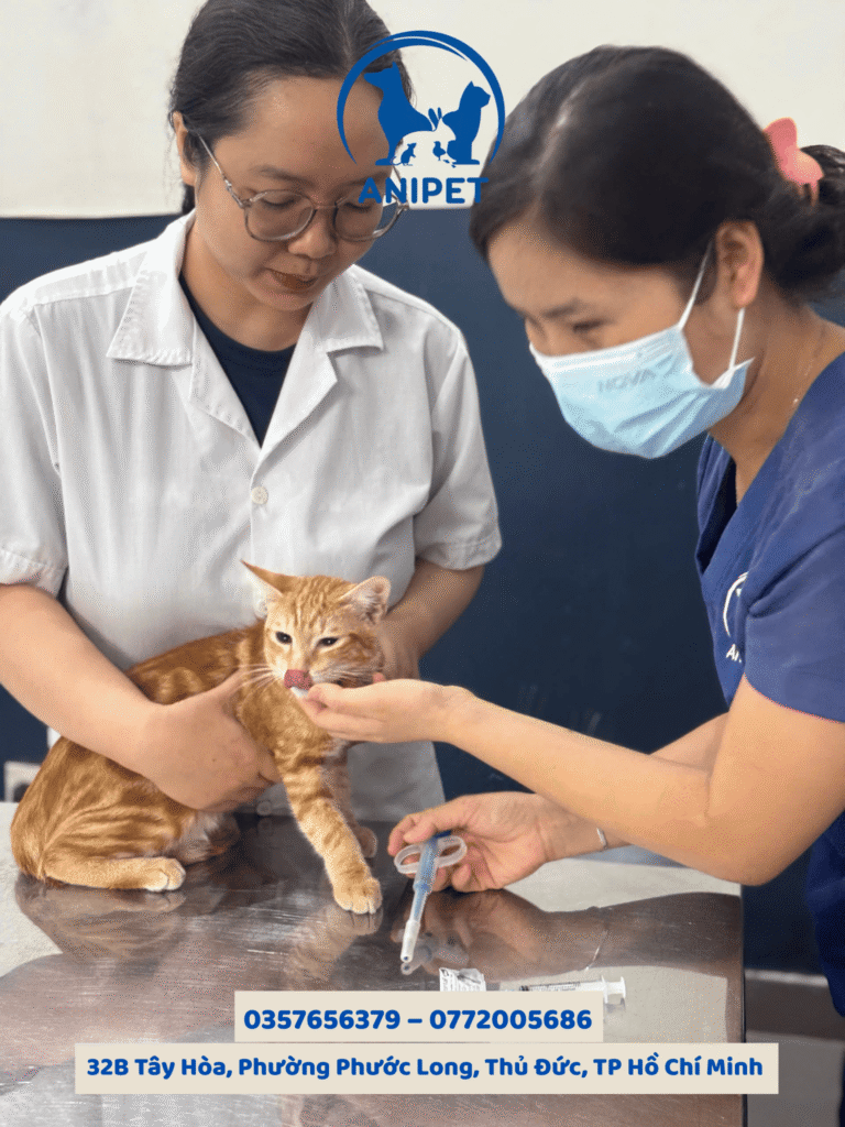 Tẩy giun định kỳ cho Chó và Mèo