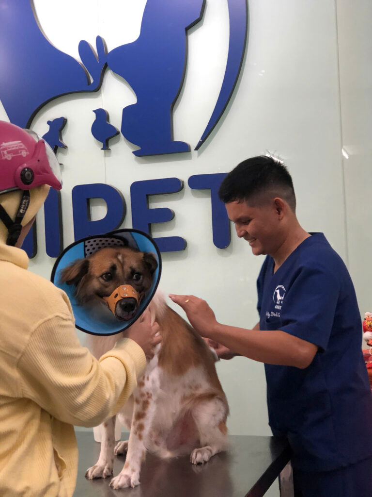 Dịch Vụ Tiêm Phòng Vacxin Chó Mèo