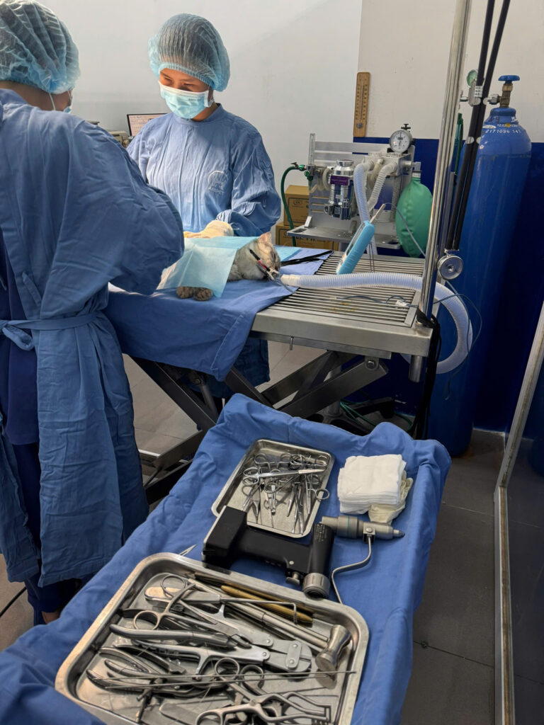 Dịch Vụ Phẫu Thuật Ngoại Khoa