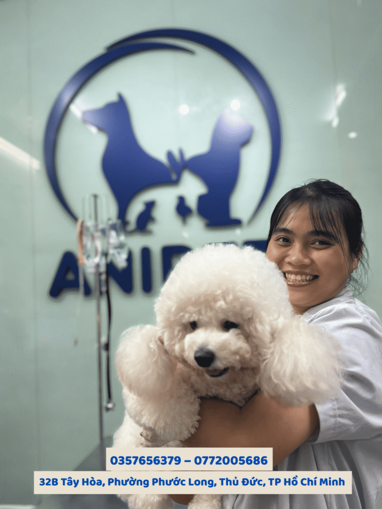 Spa grooming chó mèo
