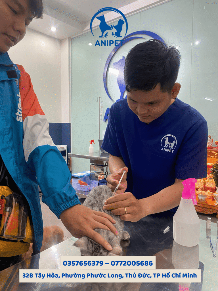 Tiêm ngừa vacxin đầy đủ khi đi khách sạn thú cưng