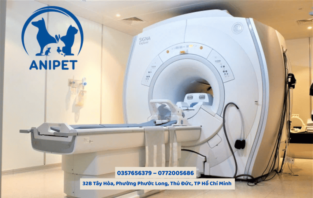 Chụp CT và MRI ở chó mèo