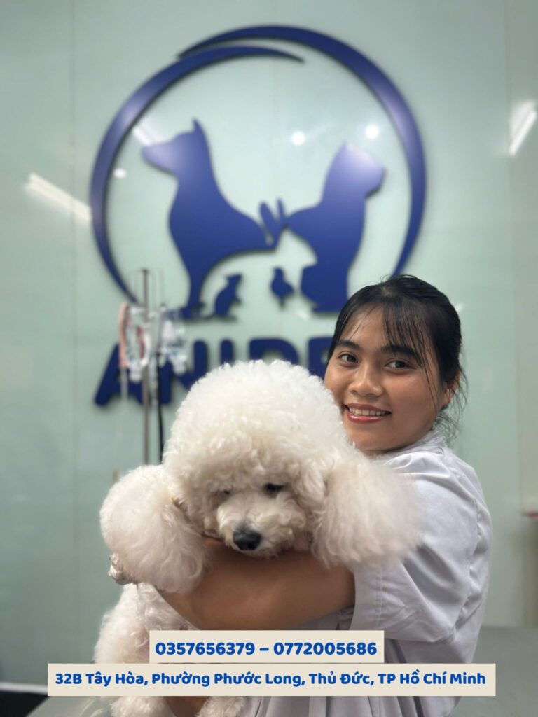 Béo phì ở chó mèo