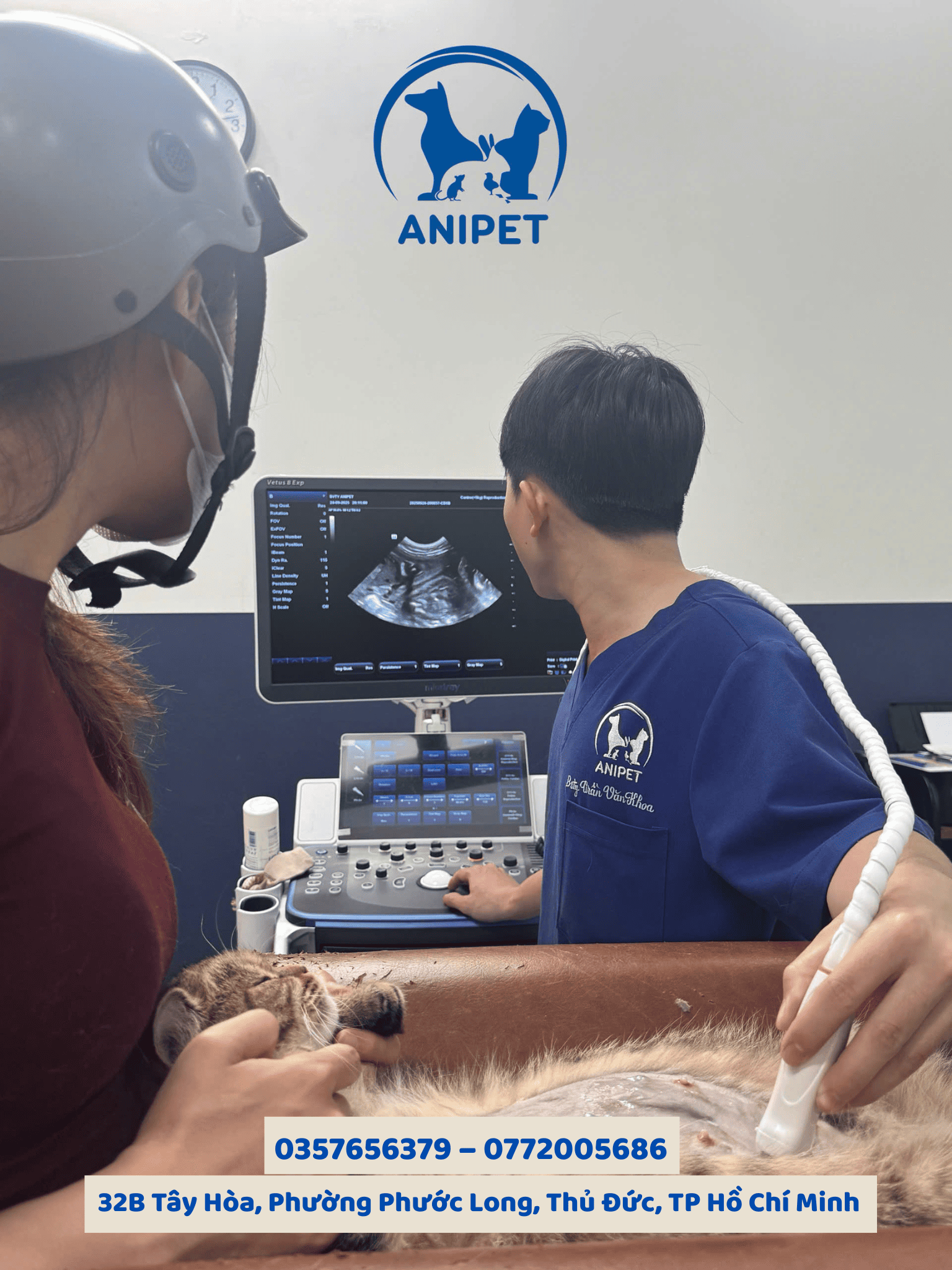 Siêu âm thai cho chó mèo