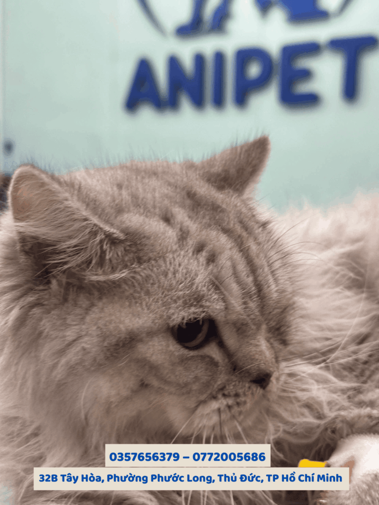 Chó mèo kêu không rõ tiếng