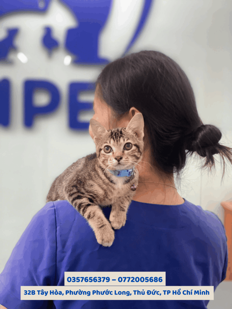 Chó mèo kêu không rõ tiếng