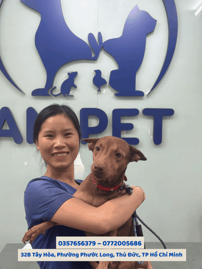 Bệnh thần kinh gây co giật ở chó mèo